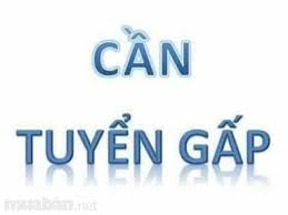 Cong Ty Cp Tâm Lực