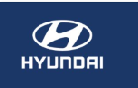 Công Ty Tnhh Tm&Dv Hyundai Đông Sài Gòn