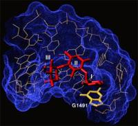 Sáng tạo để tạo ra sự đột phá toàn diện